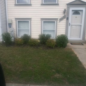 Bush Trimming by MikesLawnCare reviewed on August 15, 2025