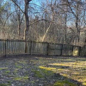 Leaf Removal by PizzaCuts reviewed on April 29, 2026