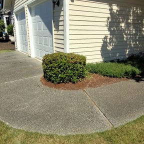 Bush Trimming by Juana's Botanical Landscaping reviewed on August 20, 2025
