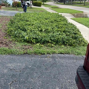 Bush Trimming by Caesar’s Premier Landscaping reviewed on August 18, 2025
