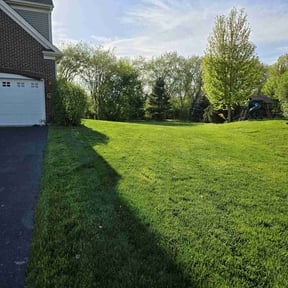 landscaping by Ron's lawn care reviewed on August 21, 2025