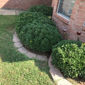 Flower Bed Weeding by Landscape reviewed on August 21, 2025