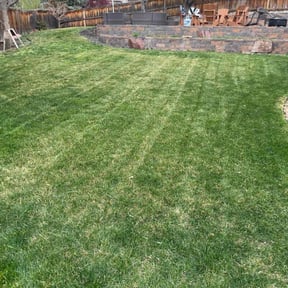 residential landscaping by Andy's Lawn Services reviewed on August 17, 2025