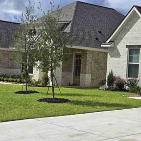 yard maintenance by Green Garden Landscapes reviewed on August 18, 2025