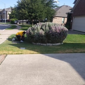 Bush Trimming by DT Property Preservation reviewed on August 20, 2025