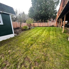 Leaf Removal by Ta-da Mow &amp;Trim reviewed on September 20, 2025