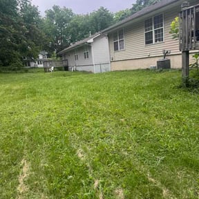 Bush Trimming by Mod Cut The Sod reviewed on June 3, 2026