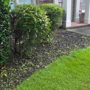 Bush Trimming by Igo's General Outdoor Solutions reviewed on July 14, 2026