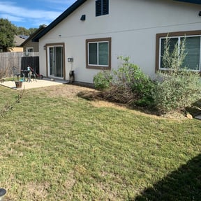 Bush Trimming by Logan Total Lawncare reviewed on August 18, 2025