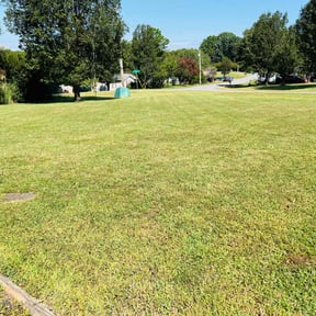 yard maintenance by Requena lawn&amp;care reviewed on August 19, 2025