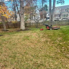 Leaf Removal by Matthew Lawn Care reviewed on November 22, 2025