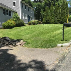 Leaf Removal by  reviewed on January 14, 2026