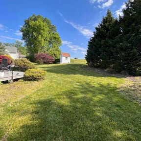 turf care by Natures Edge Outdoor Solutions reviewed on June 20, 2025
