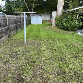 turf maintenance by Shane Ray reviewed on July 25, 2022