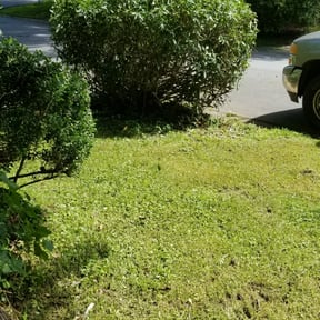 Bush Trimming by Unstoppable Lawn Care reviewed on August 16, 2025