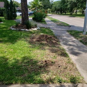 Bush Trimming by HiCare Lawn Services reviewed on August 18, 2025
