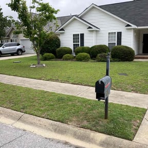 gardening service by Iscape lawn professionals LLC reviewed on August 18, 2025