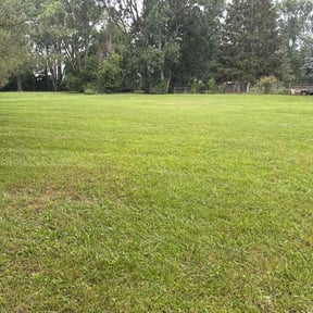 yard work by Solid landscaping reviewed on August 21, 2025
