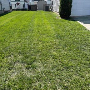 grass cutting by Haygood Cleaning, Painting & Lawn Care LLC reviewed on July 13, 2025