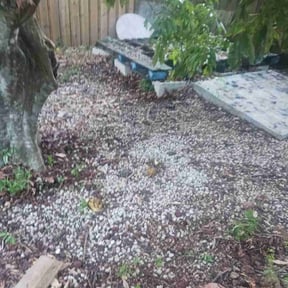 Leaf Removal by RhodenColes Investments reviewed on August 18, 2025