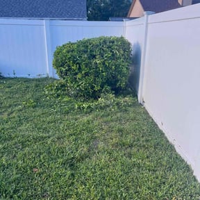 Bush Trimming by A&A landscaping and property maintenance Llc reviewed on August 19, 2025