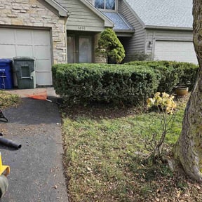 Bush Trimming by Var Landscape reviewed on August 17, 2025