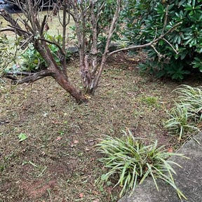 Flower Bed Weeding by Scott Bensing Lawn Care reviewed on November 8, 2025