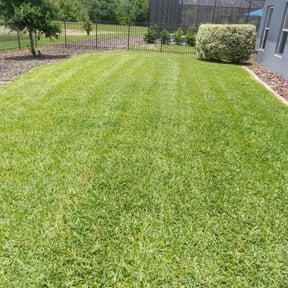 grass maintenance by james lawn service reviewed on August 17, 2025