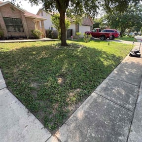 Leaf Removal by Terra Verde Landscape & Design reviewed on August 18, 2025