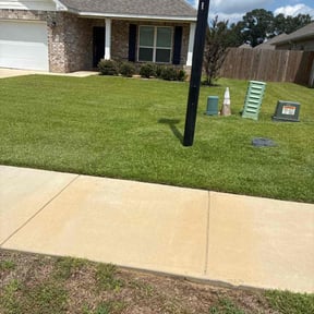 Bush Trimming by Allen Investments reviewed on November 24, 2025