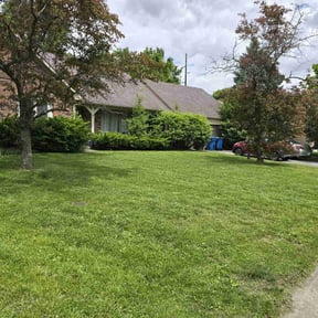 yard work by William Mendoza reviewed on August 18, 2025