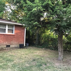 Bush Trimming by Grasman LLC reviewed on August 18, 2025
