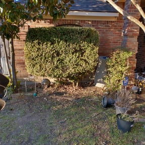 Bush Trimming by JACKSON Lawn Care reviewed on November 22, 2025