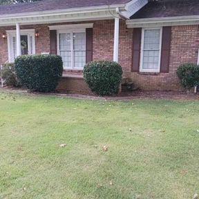 Bush Trimming by Calderon Lawn Service reviewed on August 16, 2025