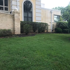 Bush Trimming by Lawnspire reviewed on August 18, 2025