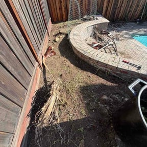 Flower Bed Weeding by Green Thumb Agostini Lawn Care and Landscaping reviewed on February 10, 2026