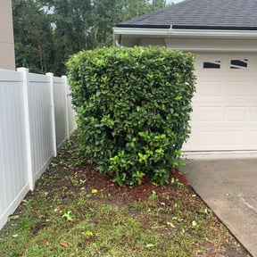 Bush Trimming by Adkins Landscapes reviewed on August 14, 2025