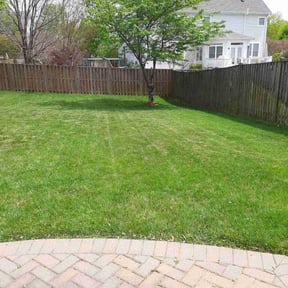 residential landscaping by A Closer Look Residential Inspections LLC reviewed on August 19, 2025