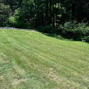 landscaping services by CNR Landscaping reviewed on August 19, 2025