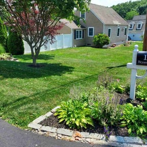 yard care by Agape Lawn Service  reviewed on November 25, 2025