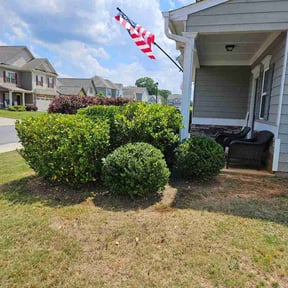 Bush Trimming by J&amp;M Landscaping reviewed on May 17, 2026
