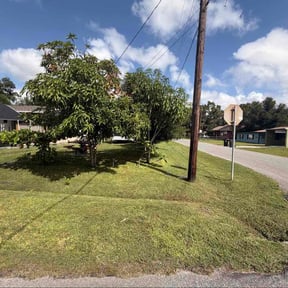 Leaf Removal by Lawns Murcia Landscaping reviewed on November 6, 2025