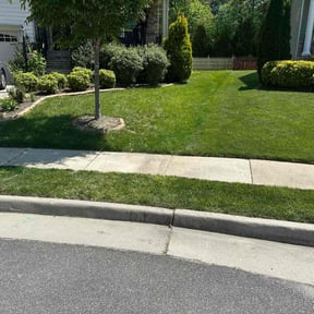 yard maintenance by W&amp;M Lawn services reviewed on November 26, 2025