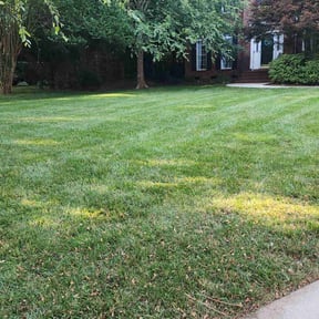 Lawn Mowing by Rickys lawn care  reviewed on August 16, 2025