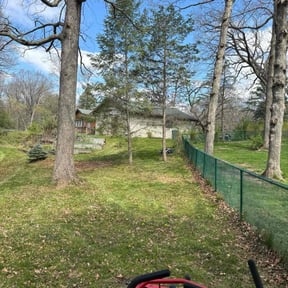 Leaf Removal by Robert Doolan reviewed on September 19, 2025