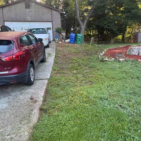 Leaf Removal by Simple Cutz reviewed on August 17, 2026