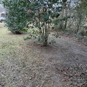 Leaf Removal by Lampkin Lawn &amp; More LLC reviewed on March 20, 2026