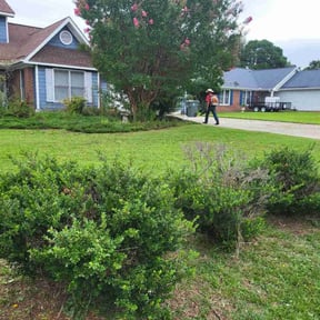 lawn care services by Ochoa Landscape and Irrigaton LLC reviewed on August 22, 2020