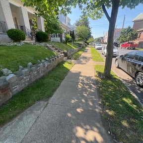 yard work by YCF Property Maintenance & Contracting Services reviewed on August 15, 2025