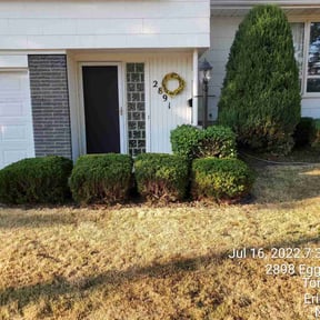 Bush Trimming by KingsBuck outdoor services reviewed on August 21, 2025